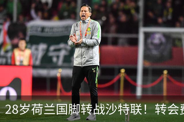 28岁荷兰国脚转战沙特联！转会费6100万欧 曼城亏本清洗+加盟仅1年